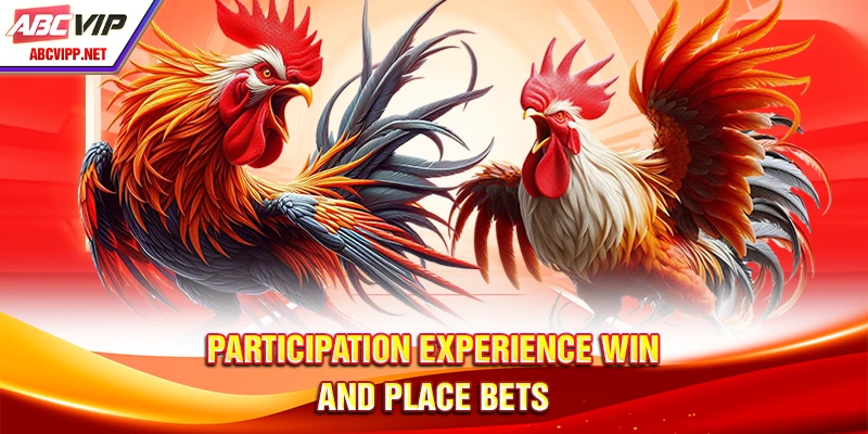Participation experience win and place bets